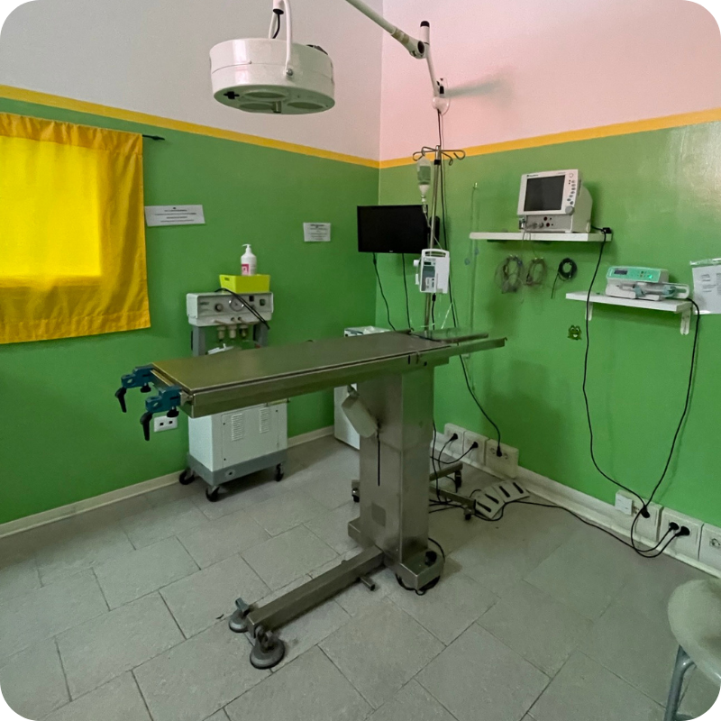 La sala operatoria della Clinica Veterinaria Leonardo da Vinci