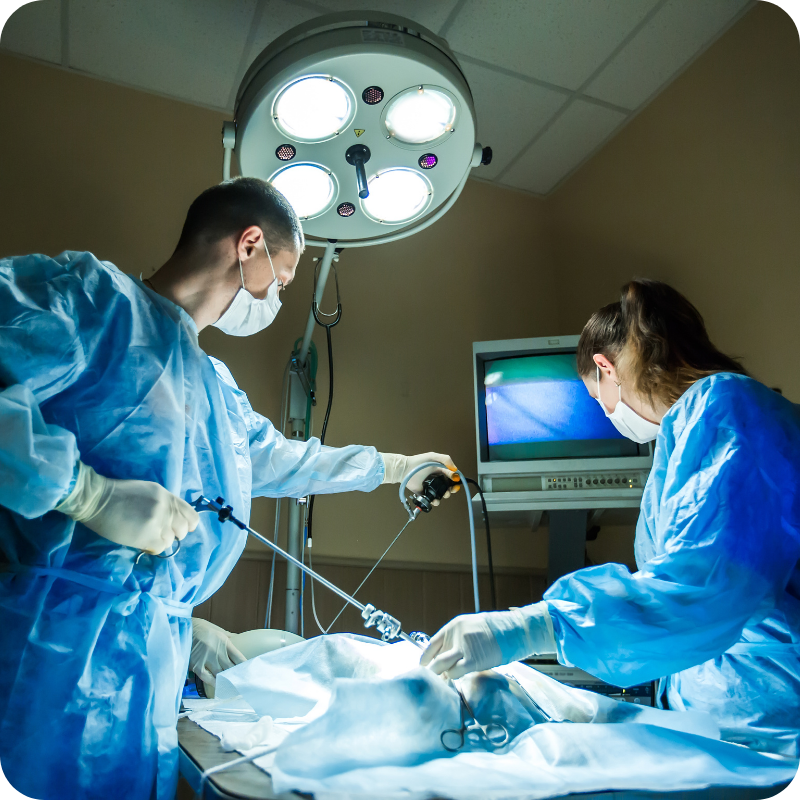 Due medici veterinari durante un'operazione chirurgica