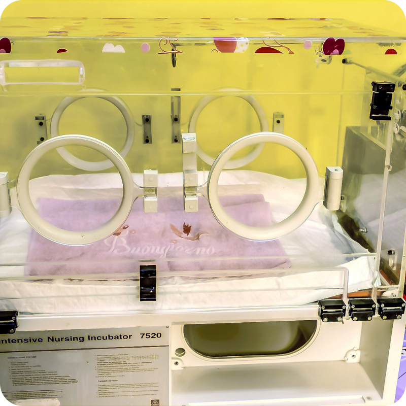 Un incubatrice della Clinica Veterinaria Leonardo da Vinci