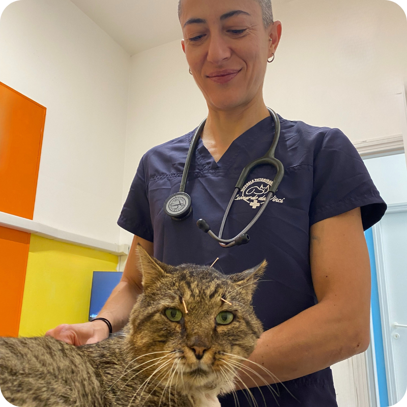 Una veterinaria della clinica veterinaria Leonardo Da Vinci, insieme ad un gattone tigrato con gli occhi verdi