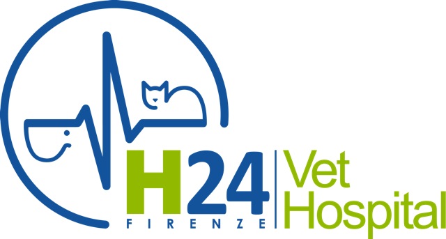 Logo VetHospital H24 Firenze a colori orizzontale